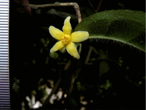 為什麼是雲南？看完我就開始查機票了……