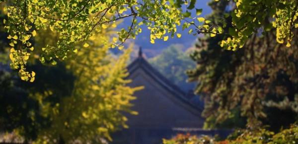戒臺寺|祈福中秋 靜心之旅 戒臺寺|祈福中秋 靜心之旅