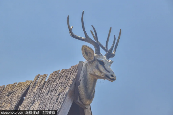 親切!家門口的這些免費小公園,承包你不出遠門的夏天! 親切!家門口的這些免費小公園,承包你不出遠門的夏天!
