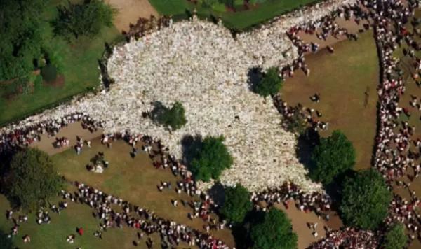 這世界他們來過——時間是個無聲的判官