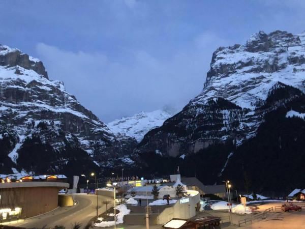 格林德瓦-誤入仙境的驚喜