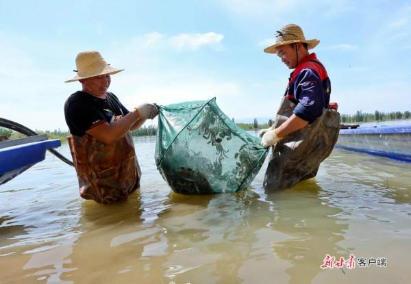 看！2500萬人的豐收圖景