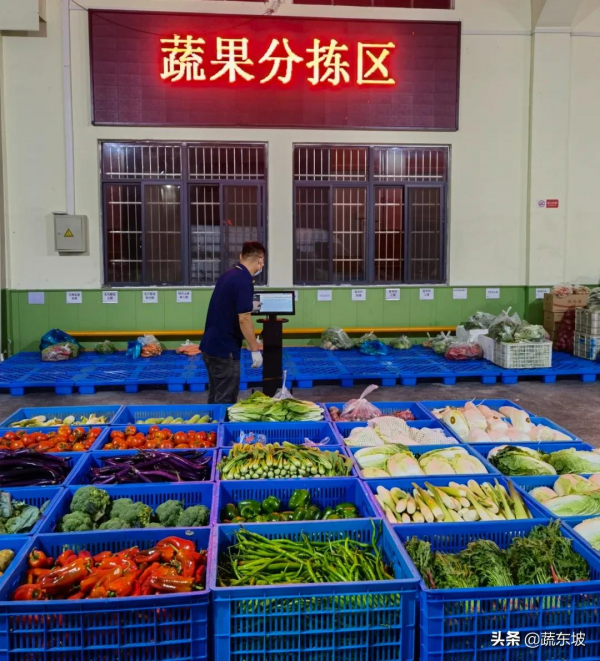 浙江綠而康：上線蔬東坡生鮮SaaS ERP，以數智化驅動企業發展轉型