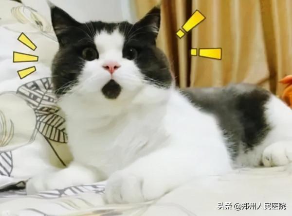 納尼?男子健身變身“大力水手”? 納尼?男子健身變身“大力水手”?