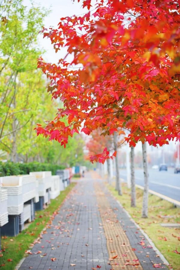 初次體驗ND濾鏡在冬天