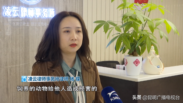 想拿板凳砸開撕咬的兩隻狗！未牽繩小狗被金毛死死咬住 主人急哭