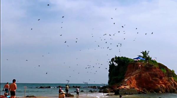 斯里蘭卡之旅(20)美蕊沙海灘 斯里蘭卡之旅(20)美蕊沙海灘