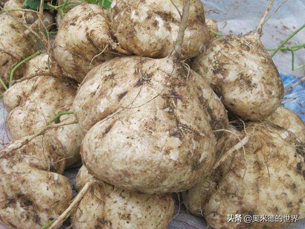 中國最早開通國際動車的“雲南省”的20個冷知識,你知道幾個? 中國最早開通國際動車的“雲南省”的20個冷知識,你知道幾個?