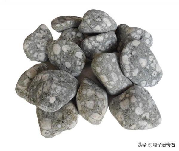 最貴的化石拍出2&period;16億，但有些&OpenCurlyDoubleQuote;化石&rdquo;並非化石