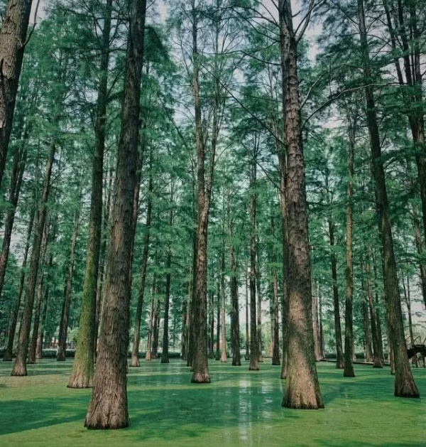 《孤獨星球》公佈今年國內10個最值得遊覽地區，帶上你的TA出發吧
