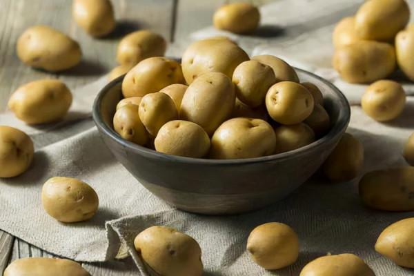 才知道，“黃皮土豆”和“白皮土豆”區別這麼大，可別再買錯了