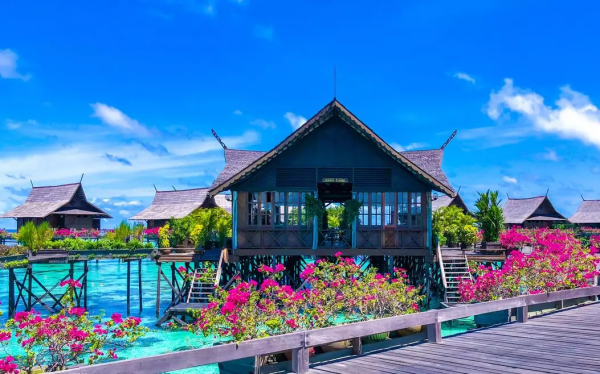 仙本那,與鯨鯊共舞,住水上木屋 仙本那,與鯨鯊共舞,住水上木屋