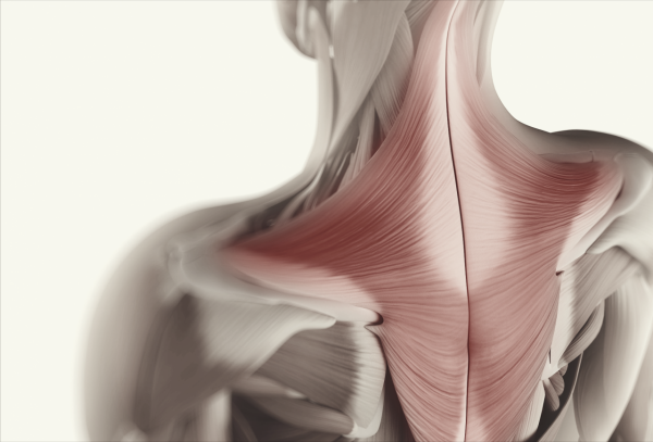 脖子轉動咔咔響嚴重嗎？