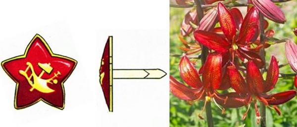 科拉絲娜·捷維察：蘇東軍隊帽徽發展史與歐洲社會主義國家的初心演變（一）