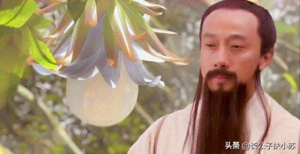 鎮元子何以稱地仙之祖，自成一派？他有三界至寶，不是人參果