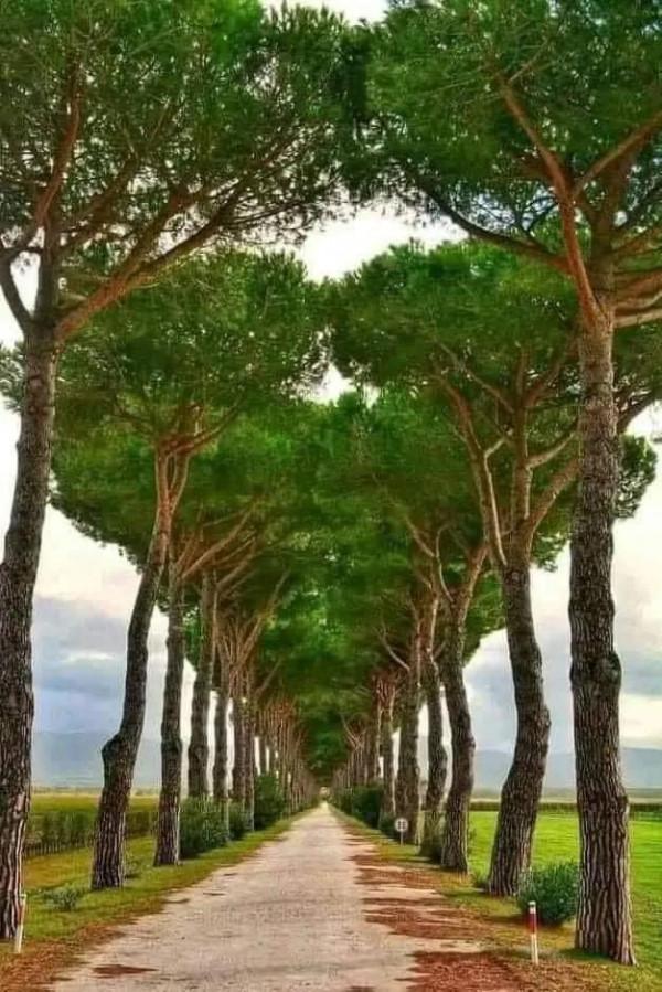 世界很大，風景很美，而你卻不是那個想走就走的人