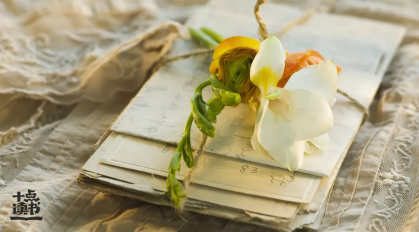 我支援你以貌取人