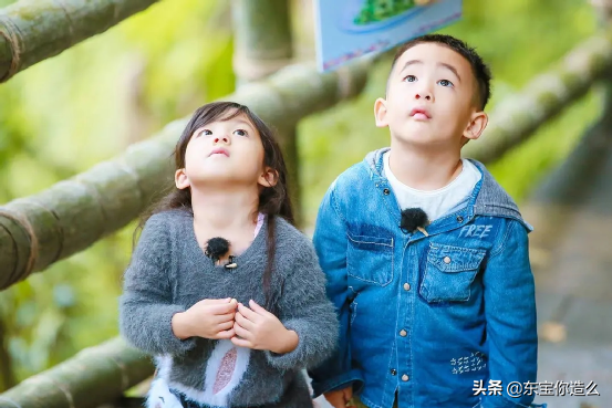 湖南衛視24年：從快樂大本營到百變大咖秀，那些炙手可熱的綜藝