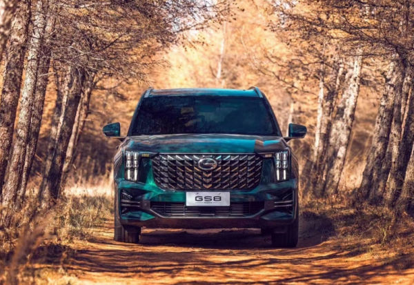 年底前最後一批新車上市，為了“討好”年輕人，費了九牛二虎之力