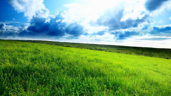 10個《詩經》優雅大氣的男孩名字,個個都有傾國傾城之姿 10個《詩經》優雅大氣的男孩名字,個個都有傾國傾城之姿