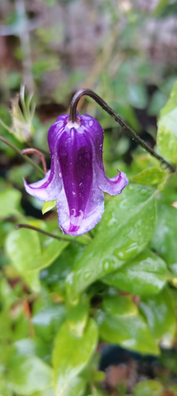 不是老歌好聽了，而是聽歌的人有故事了