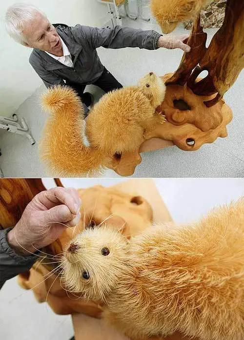 天哪，這是木雕嗎？完全超出了我對木頭的理解