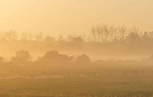 深秋,鄉村晨霧 深秋,鄉村晨霧