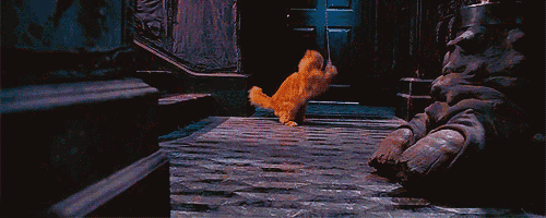 《哈利波特》赫敏的貓克魯克山是何來歷？它曾屬於波特一家？