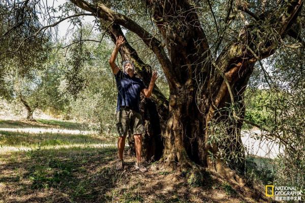 義大利立法保護境內22000棵古樹啦