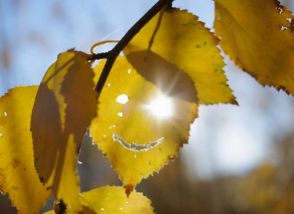 90個神奇照片，剛出生的小刺蝟，大白鯊的驚人尺寸，水上麻將桌椅