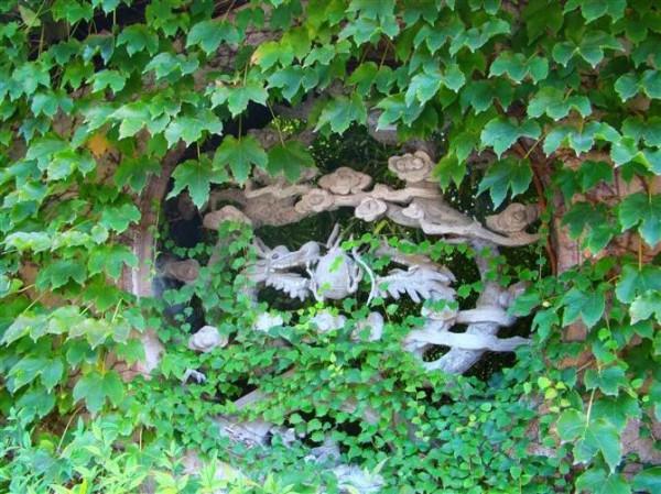 夢迴江南之行走烏鎮&lpar;原創&rpar;