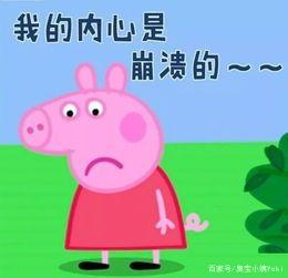 承認是踐行的第一步：我終於承認我是個胖子……