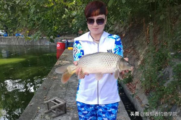 為什麼漁具店的生意越來越差？漁具店生意慘淡的幾個主要原因