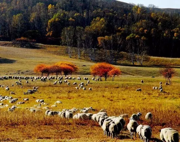 祖國最美的150座秀美名山