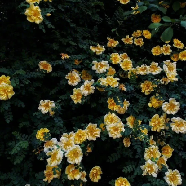 “沒資格的醋,吃起來最酸 “沒資格的醋,吃起來最酸