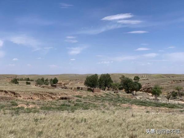 “內蒙古姐夫”帶我吃遍鄂爾多斯美食