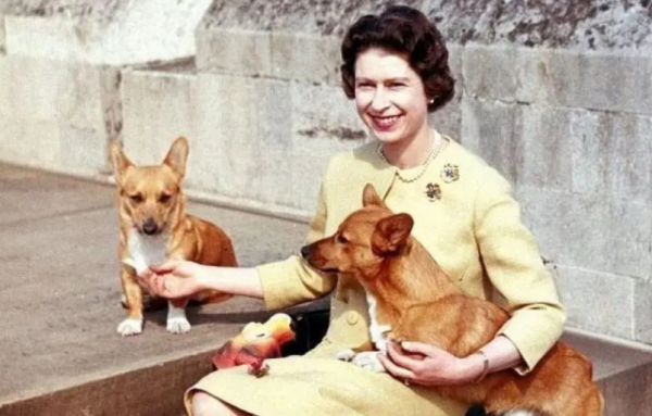 美國1歲女孩被媽媽打扮成英女王,照片寄到王室後引女王本人回覆 美國1歲女孩被媽媽打扮成英女王,照片寄到王室後引女王本人回覆