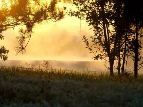 中秋隨筆:《秋傻子雨》 中秋隨筆:《秋傻子雨》