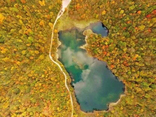 秋色來襲!7條自駕公路一網打盡四川最美風光,你去過幾條? 秋色來襲!7條自駕公路一網打盡四川最美風光,你去過幾條?