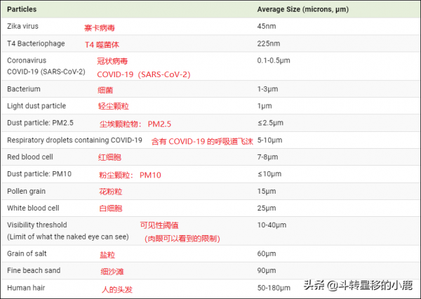 視覺化粒子的相對大小
