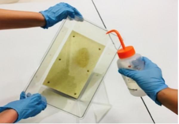 自己動手，在家做一回粒子物理實驗