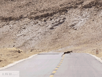 兩個人，一輛車，阿里北線無人區穿越