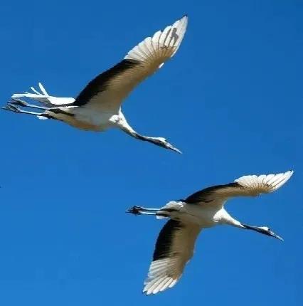 點亮愛的翅膀，帶著你一路飛翔，旅途有你，便是天堂