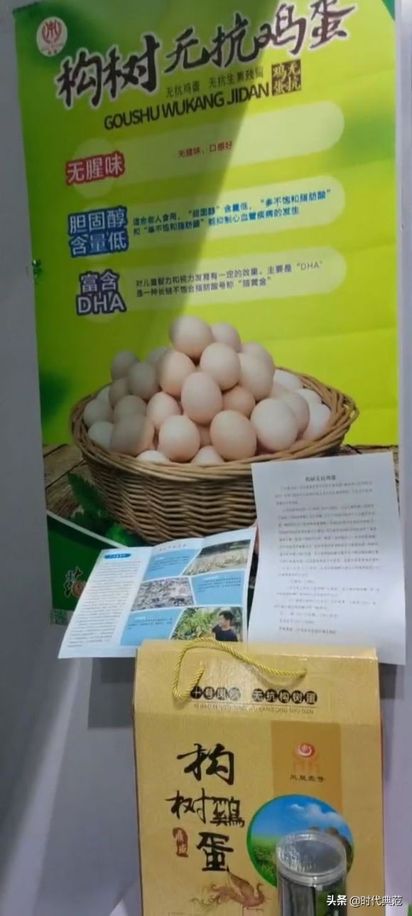 返鄉創業 帶頭致富—河南鼎鴻盛構樹生物科技有限公司董事長孫憲成 返鄉創業 帶頭致富—河南鼎鴻盛構樹生物科技有限公司董事長孫憲成