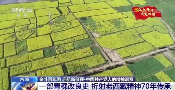 “老西藏精神”引領雪域高原鉅變！追尋西藏的發展“密碼”