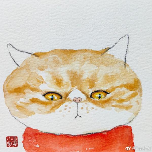 手繪水彩寫意大臉貓