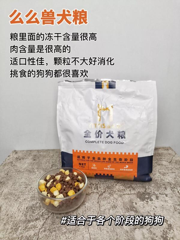 狗狗身體健康！原來是餵了這些糧