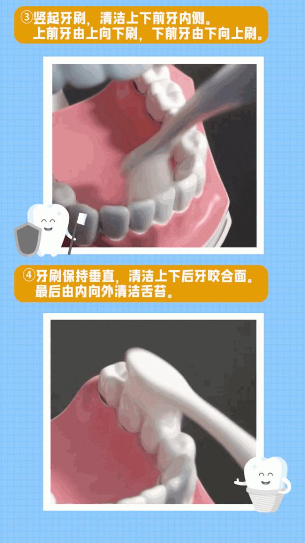 全國愛牙日｜蟲牙、智齒？全國愛牙日，健康從“齒”開始