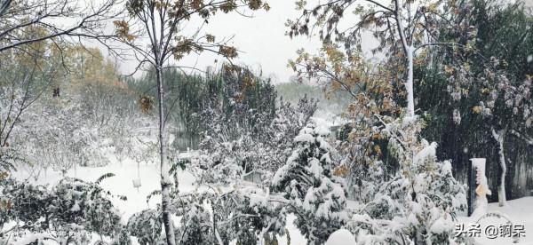 2021年的第一場雪 2021年的第一場雪