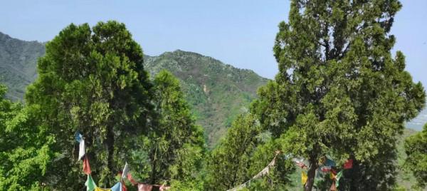 大美秦嶺之春到小五臺